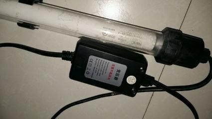 如何辨別nec龍魚燈的真假：nec龍魚燈真假對比