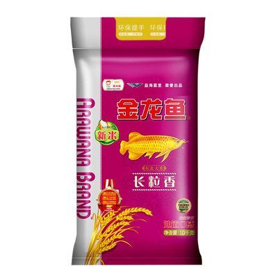 金龍魚金質不重怎么辦：金龍魚水質管理的最佳實踐