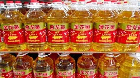 金龍魚(yú)員工（金龍魚(yú)為員工提供了相對(duì)優(yōu)越的工資待遇和福利待遇）