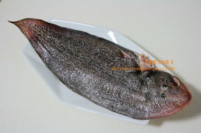 龍利魚可以喂龍魚嗎：龍利魚可以喂給龍魚嗎