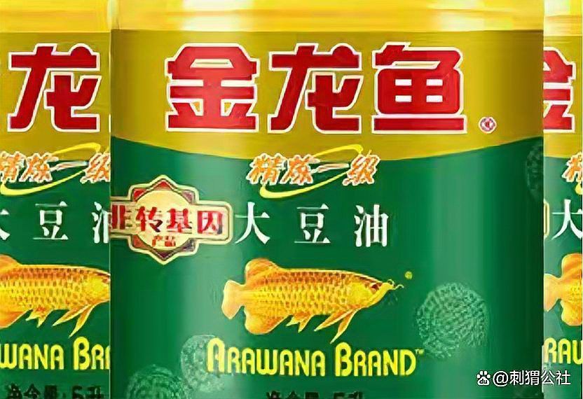 林風改造銀龍魚的目的是什么？