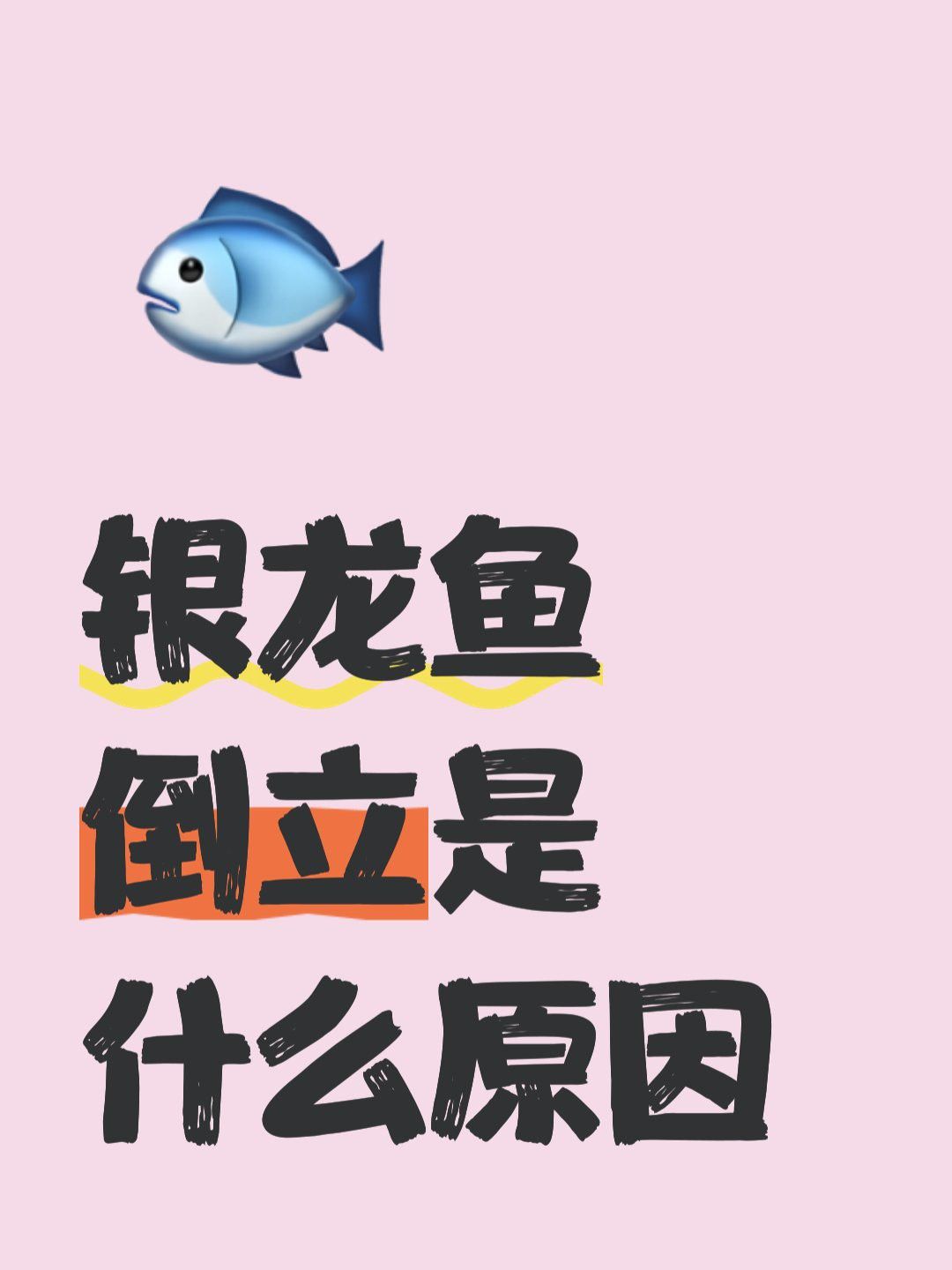 林風改造銀龍魚的目的是什么？