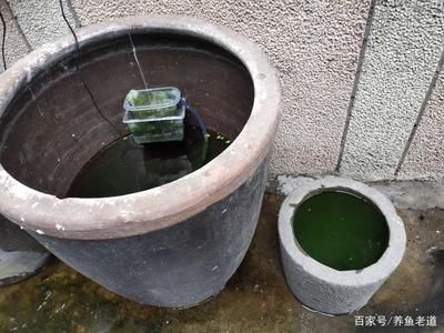 水缸改造魚缸過濾的方法（水缸改造魚缸過濾怎么弄） 水缸改造魚缸過濾的方法（水缸改造魚缸過濾怎么弄） 龍魚百科 第2張