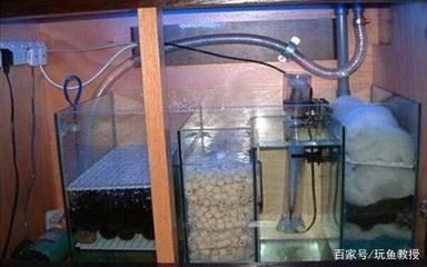 水缸改造魚缸過濾的方法（水缸改造魚缸過濾怎么弄） 水缸改造魚缸過濾的方法（水缸改造魚缸過濾怎么弄） 龍魚百科 第3張