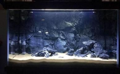水缸改造魚缸過濾的方法（水缸改造魚缸過濾怎么弄） 水缸改造魚缸過濾的方法（水缸改造魚缸過濾怎么弄） 龍魚百科 第5張