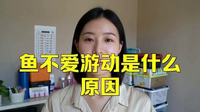 龍魚經常停留不愛游動咋回事兒