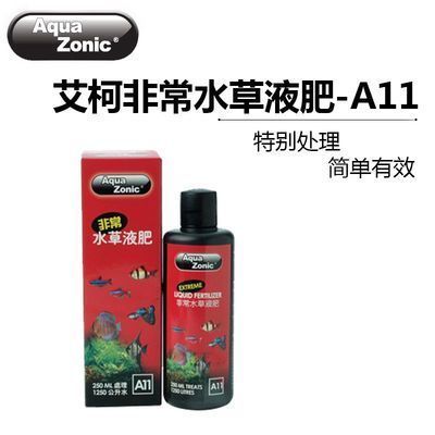 龍魚黑水菌：龍魚黑水菌在水族養殖中的作用