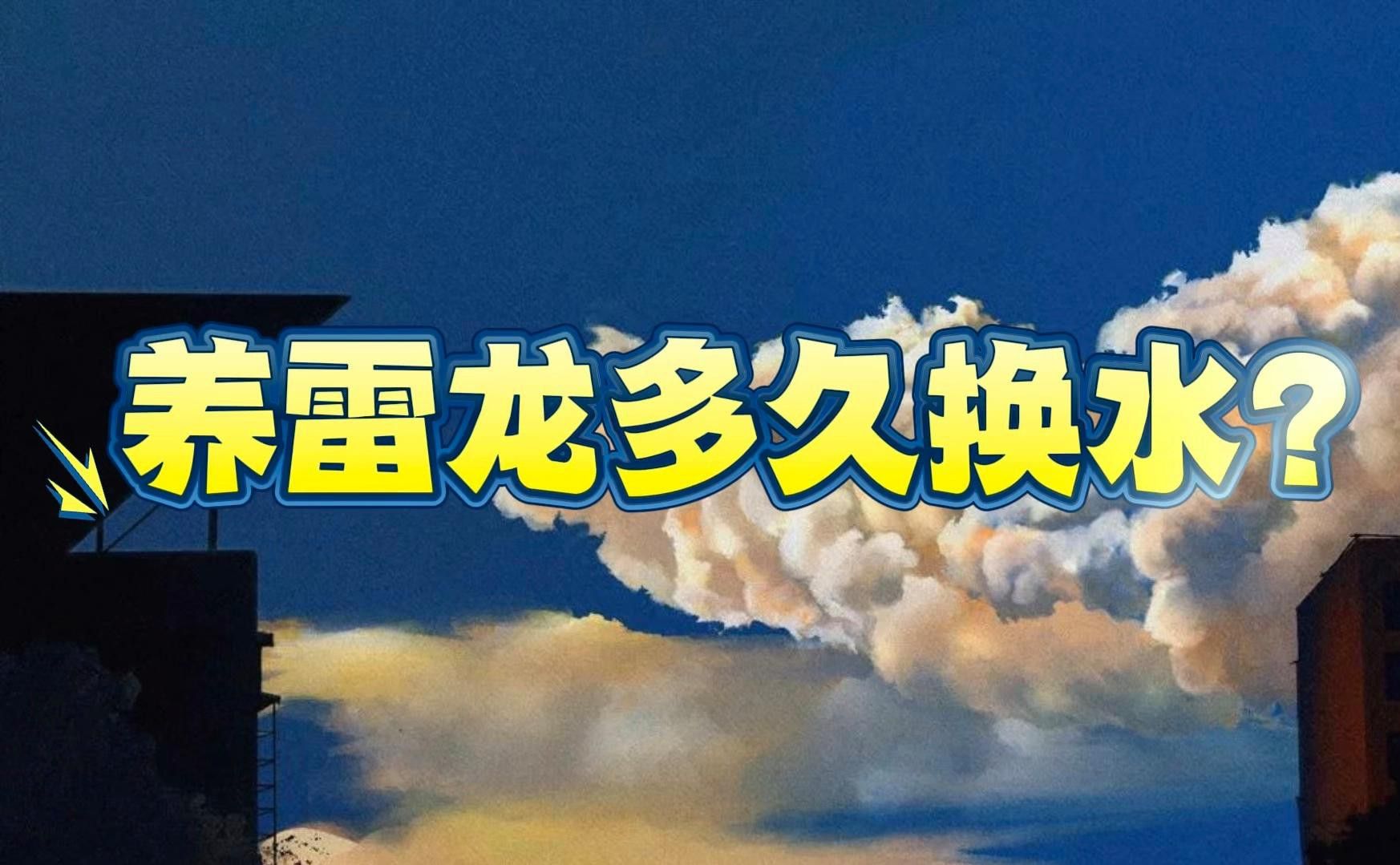 雷龍魚多久換一次水？