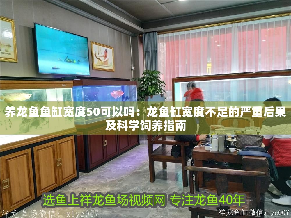 養(yǎng)龍魚魚缸寬度50可以嗎：龍魚缸寬度不足的嚴重后果及科學飼養(yǎng)指南