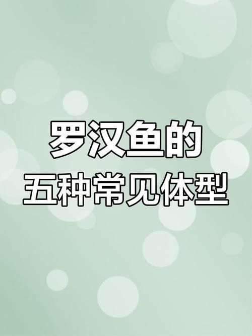 羅漢魚常見品種圖鑒