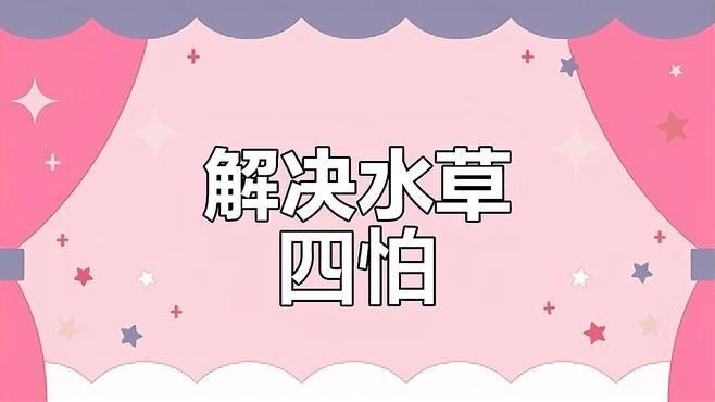龍魚缸水草養(yǎng)殖的難點(diǎn)有哪些