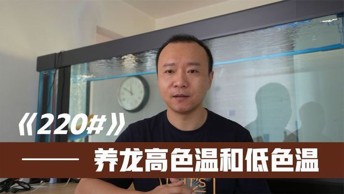 色溫對龍魚發色的影響大嗎視頻：色溫如何影響龍魚的顏色變化不同的色溫對龍魚的影響