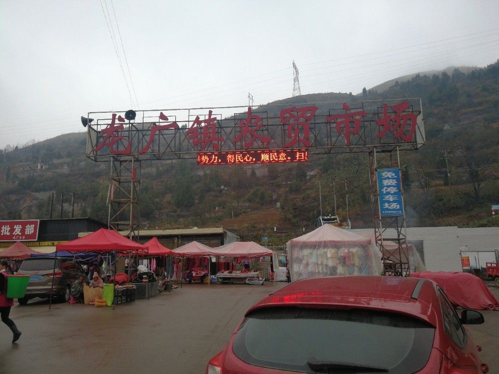 安龍魚苗批發(fā)市場地址在哪里