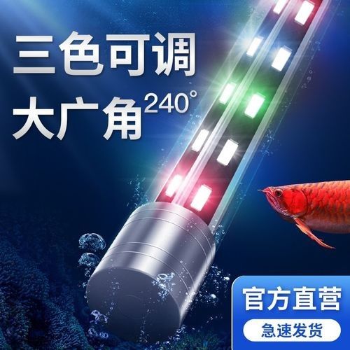 龍魚用潛水燈好還是頂燈好 龍魚用潛水燈好還是頂燈好 龍魚百科 第8張