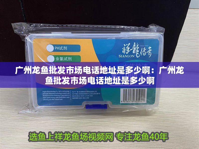 廣州龍魚批發市場電話號碼多少啊 廣州龍魚批發市場電話號碼多少啊 龍魚百科