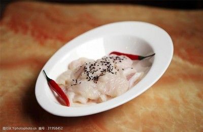 龍魚(yú)肉（龍魚(yú)的養(yǎng)殖與護(hù)理,龍魚(yú)的市場(chǎng)與價(jià)格,龍魚(yú)的文化意義）