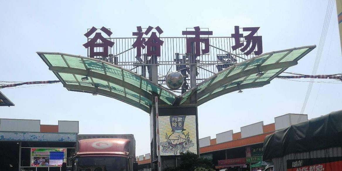 廣州最大龍魚市場地址在哪里