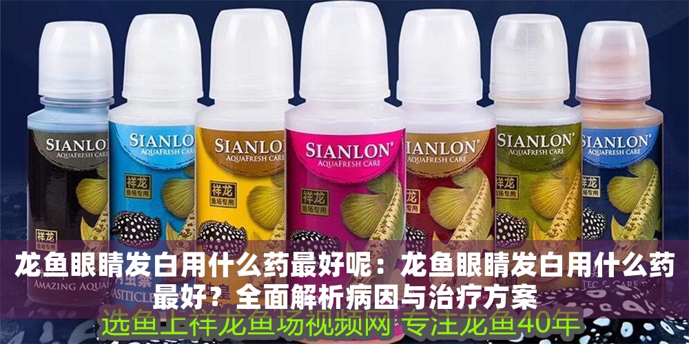 龍魚眼睛發(fā)白用什么藥最好呢：龍魚眼睛發(fā)白用什么藥最好？全面解析病因與治療方案