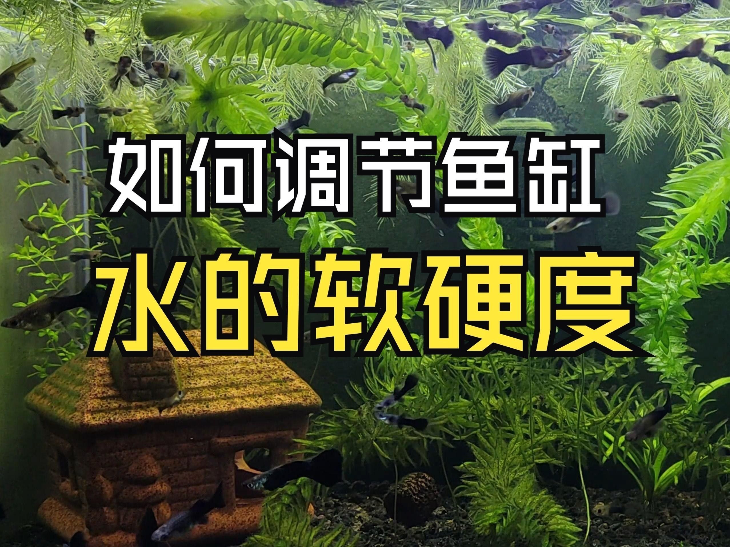 如何調整水質至弱酸性軟水？