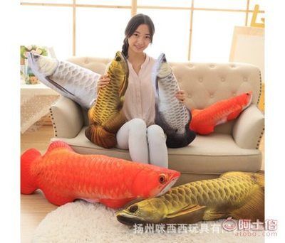 關于龍魚的說說文案搞笑版（《關于龍魚的搞笑說說文案》,龍魚這小家伙，有時候真讓人哭笑不得）