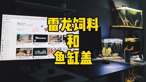 雷龍魚飼料選擇指南:如何判斷雷龍魚飼料新鮮度