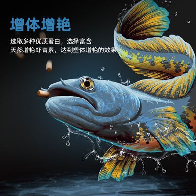 雷龍魚飼料選擇指南:如何判斷雷龍魚飼料新鮮度