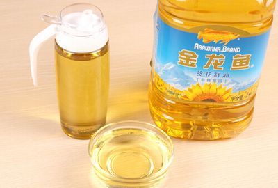 金龍魚熱量高嗎：金龍魚的熱量高嗎