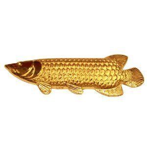 純金金龍魚(yú)（2019最新如何養(yǎng)金龍魚(yú)金龍魚(yú)養(yǎng)殖方法和注意事項(xiàng)） 純金金龍魚(yú)（2019最新如何養(yǎng)金龍魚(yú)金龍魚(yú)養(yǎng)殖方法和注意事項(xiàng)） 龍魚(yú)百科 第2張