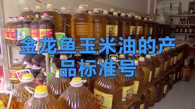 金龍魚有哪些不同規格的產品？