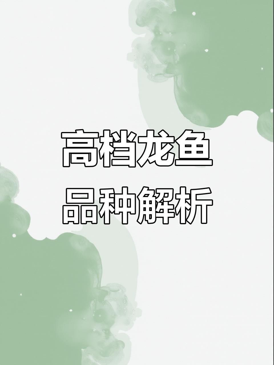 金龍和紅龍哪個更有觀賞價值？