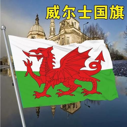 給我一些關于紅龍旗的圖片 給我一些關于紅龍旗的圖片 龍魚百科 第11張