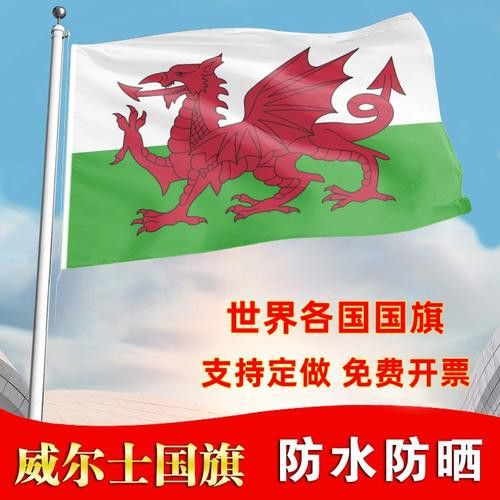 給我一些關于紅龍旗的圖片 給我一些關于紅龍旗的圖片 龍魚百科 第13張