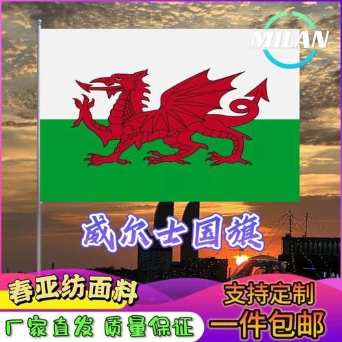 給我一些關于紅龍旗的圖片 給我一些關于紅龍旗的圖片 龍魚百科 第17張