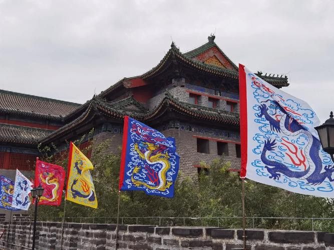 給我一些關于紅龍旗的圖片 給我一些關于紅龍旗的圖片 龍魚百科 第26張