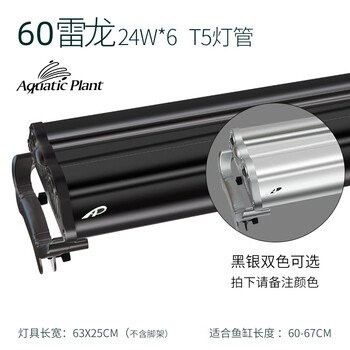 暴龍魚缸怎么樣