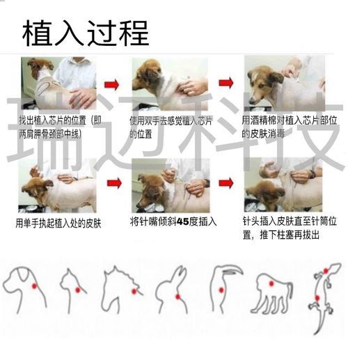 東方神龍漁場龍魚芯片查詢