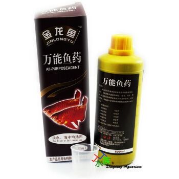 金龍魚殺菌藥有哪幾種：金龍魚殺菌用什么藥最好