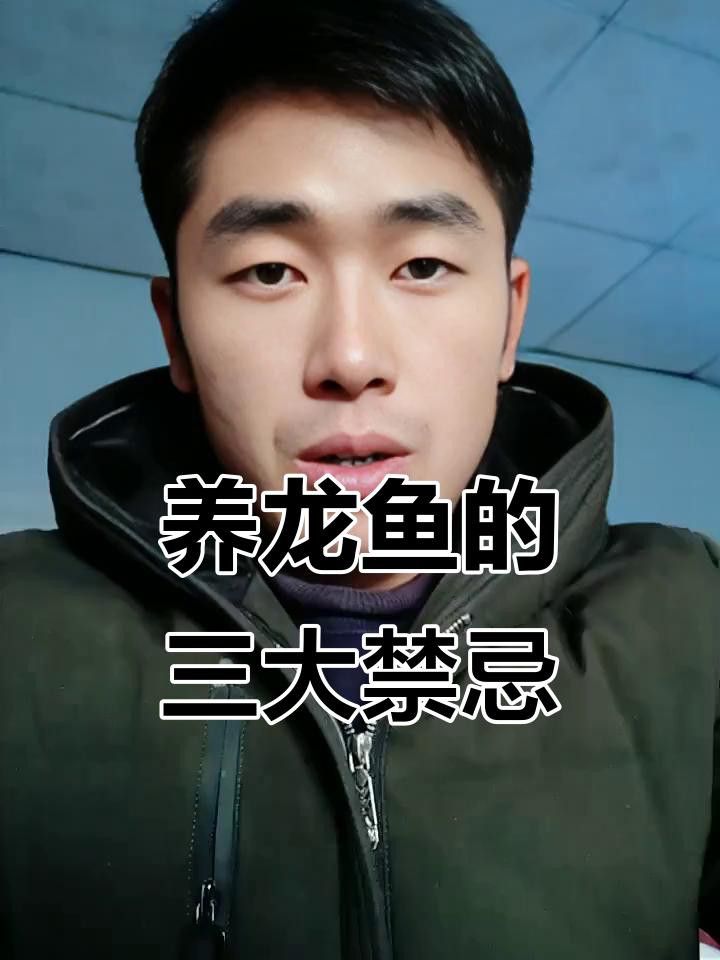 如何飼養短身福龍王魚？