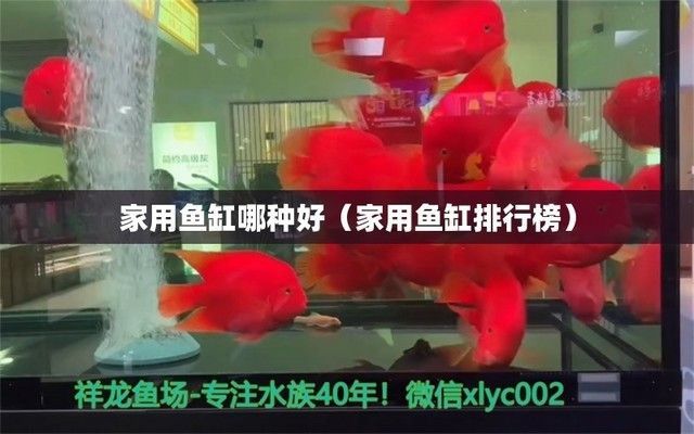 家用魚缸哪個牌子好 家用魚缸哪個牌子好 龍魚百科 第3張
