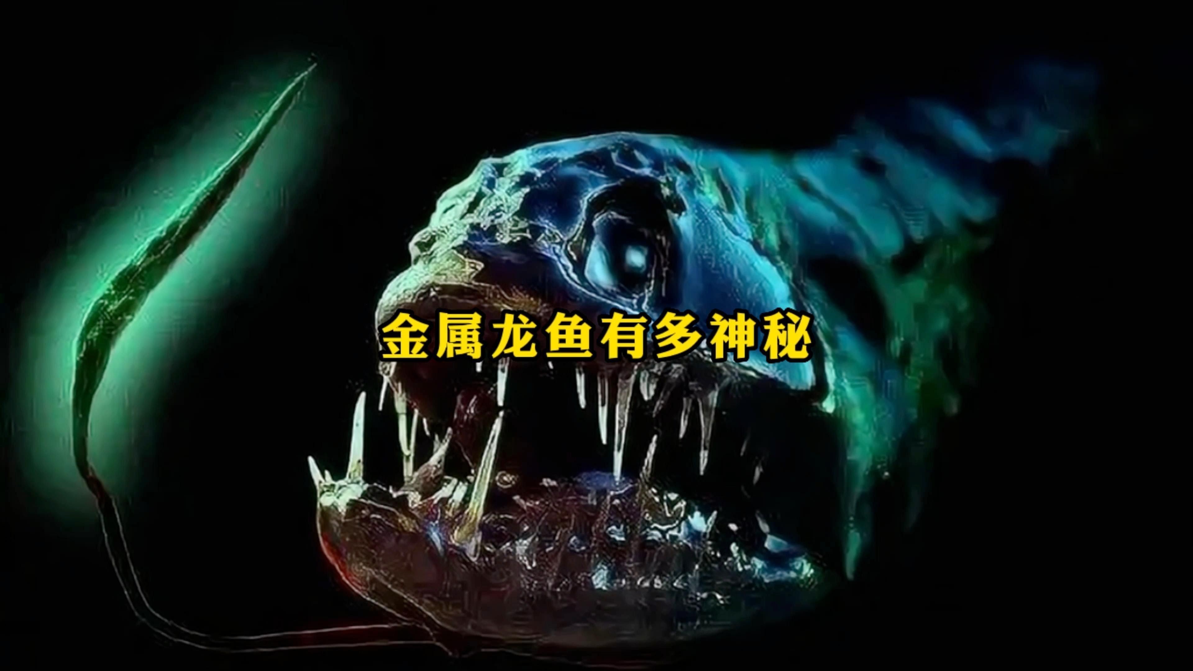 有哪些構(gòu)圖技巧適用于拍攝小龍魚？ 有哪些構(gòu)圖技巧適用于拍攝小龍魚？ 龍魚百科 第1張