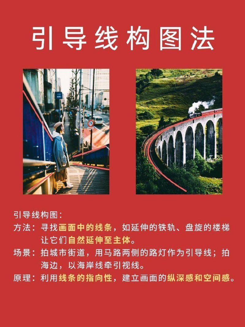 有哪些構(gòu)圖技巧適用于拍攝小龍魚？ 有哪些構(gòu)圖技巧適用于拍攝小龍魚？ 龍魚百科 第2張