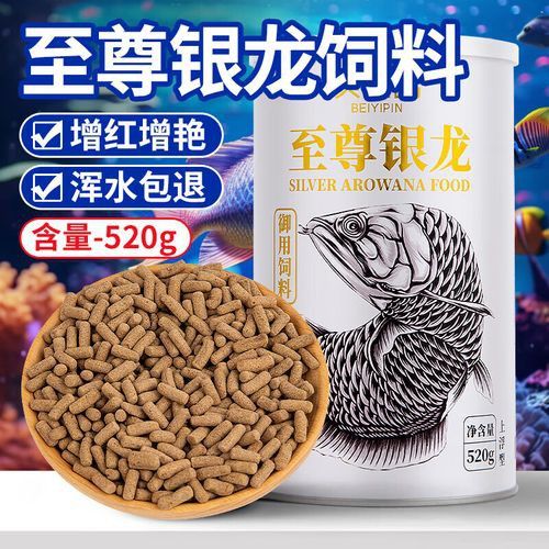 如何設置魚缸背景增強紅龍體色？