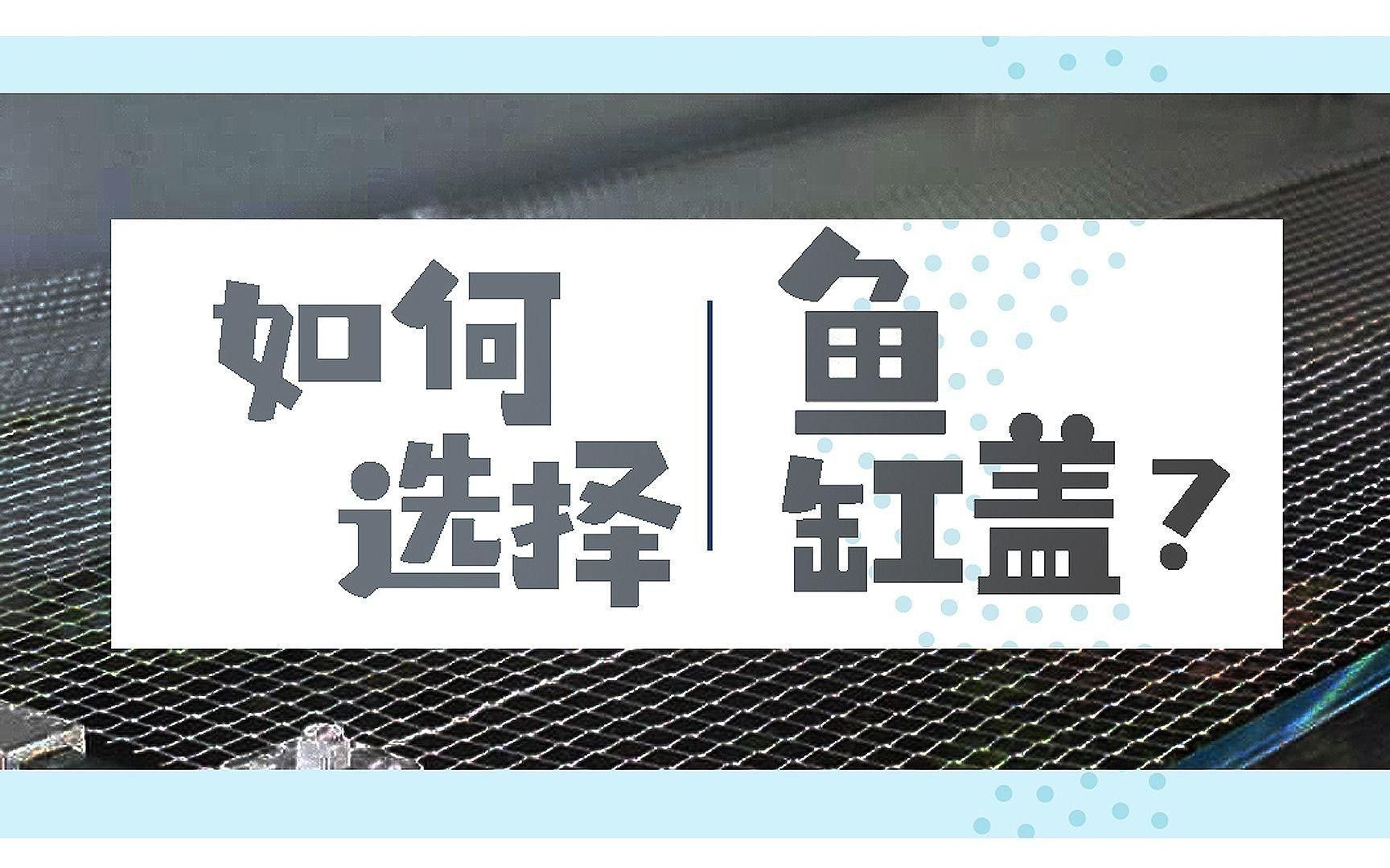 龍魚缸需要開多大的缸蓋？