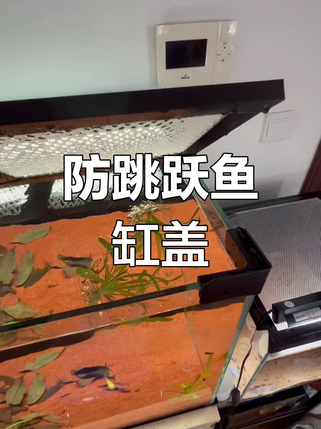 龍魚缸需要開多大的缸蓋？