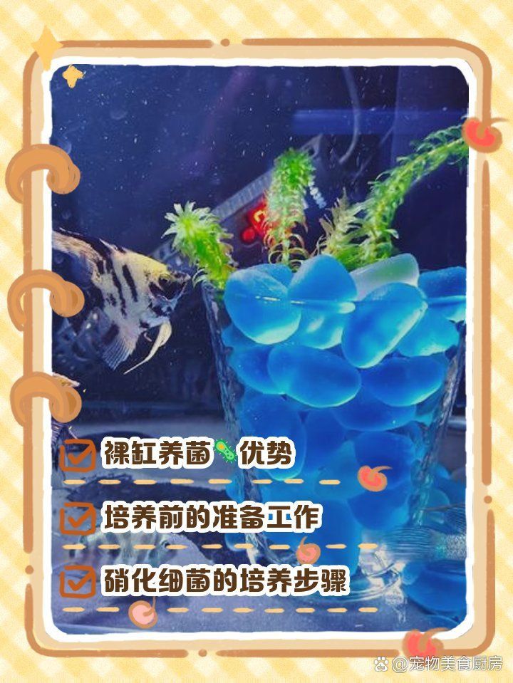裸缸會產生硝化細菌嗎
