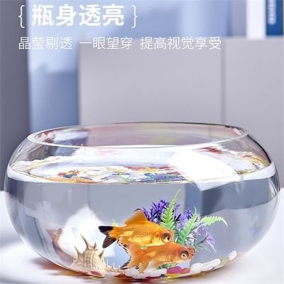 買(mǎi)魚(yú)缸可以以舊換新嗎（魚(yú)缸以舊換新活動(dòng)的常見(jiàn)優(yōu)惠如何正確處理舊魚(yú)缸以舊換新活動(dòng)對(duì)比）