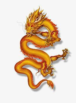 緬甸圖騰金龍魚圖片大全大圖