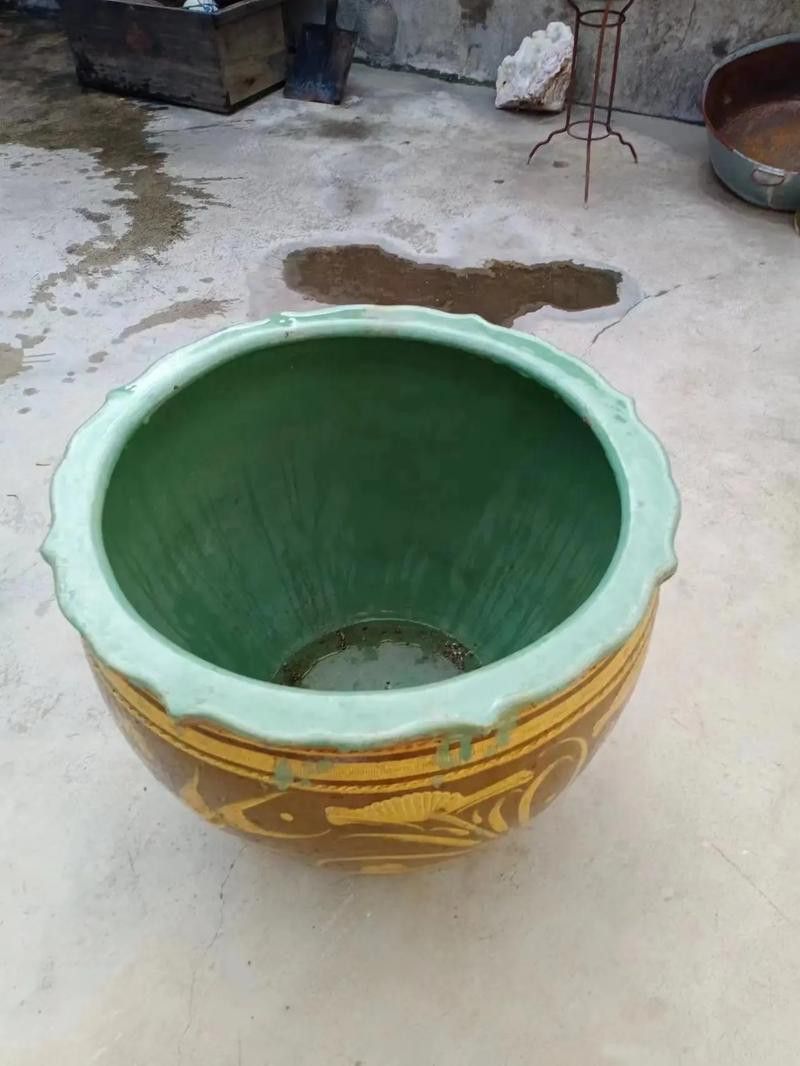 清代龍缸的價格是多少? 龍魚百科 第7張 清代龍缸的價格是多少? 清代龍缸的價格是多少? 龍魚百科 第7張
