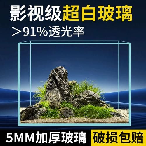 臻龍魚(yú)缸怎么樣