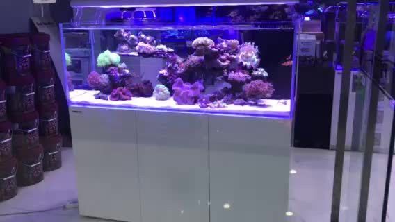 臻龍魚缸怎么樣